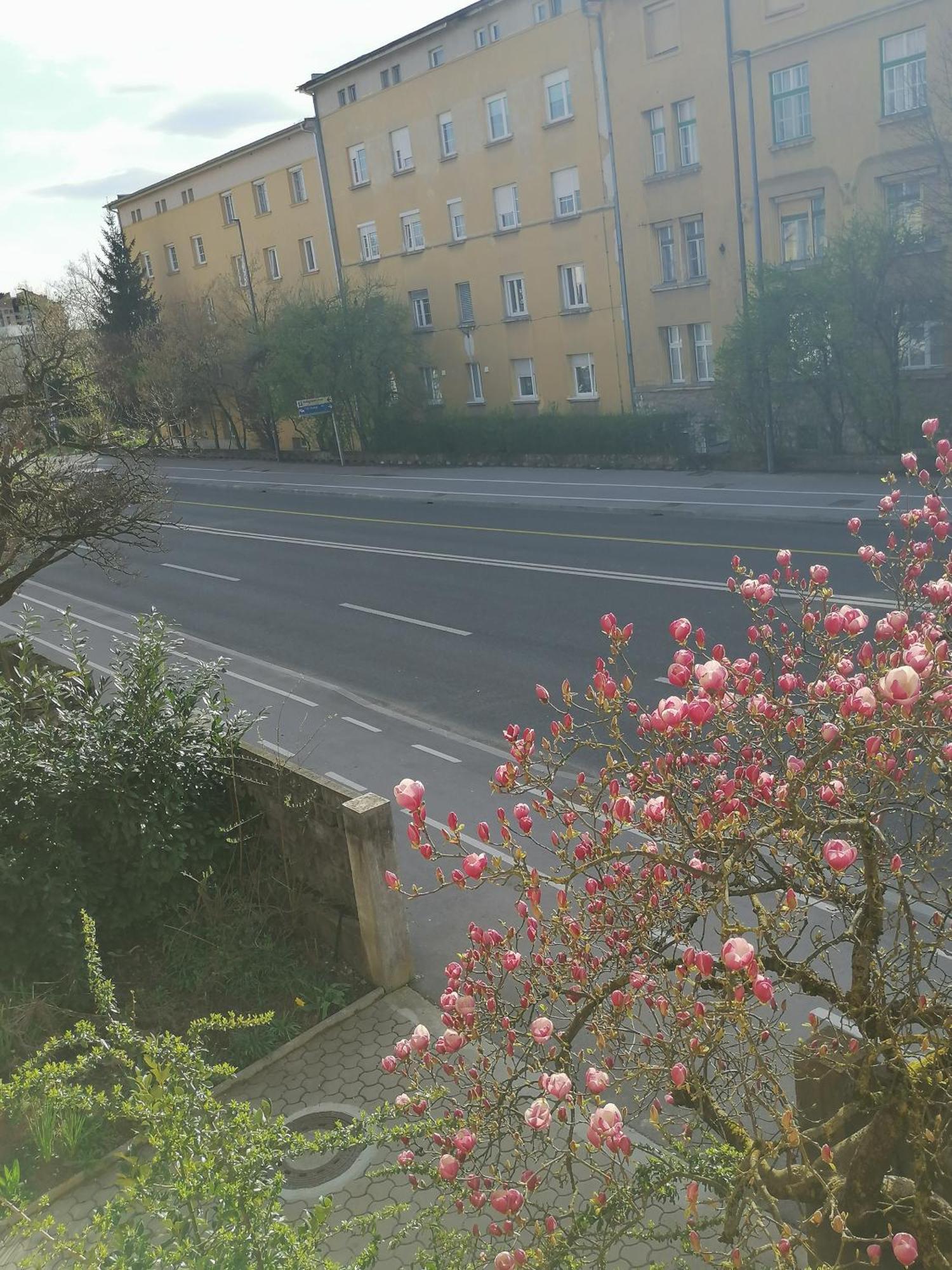Pirc Apartment On Dunajska Street Любляна Екстериор снимка